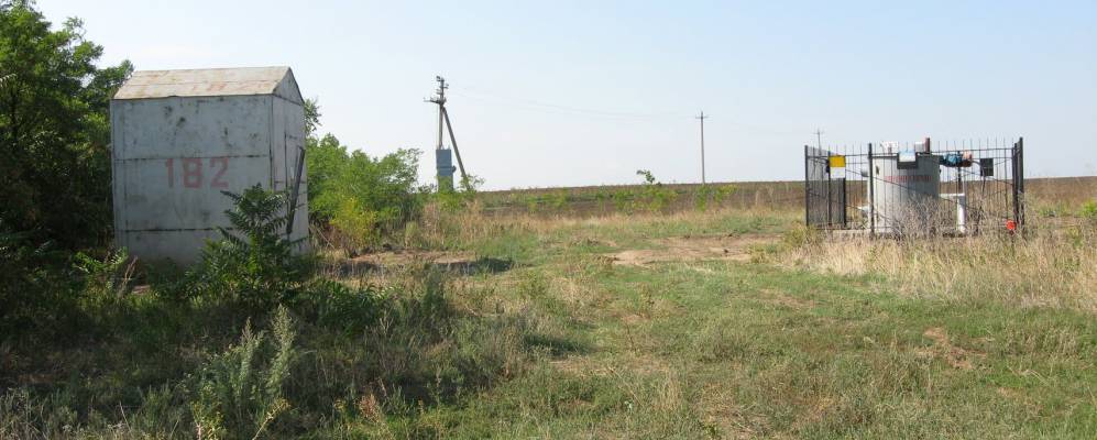 
            Фотография Павлинки