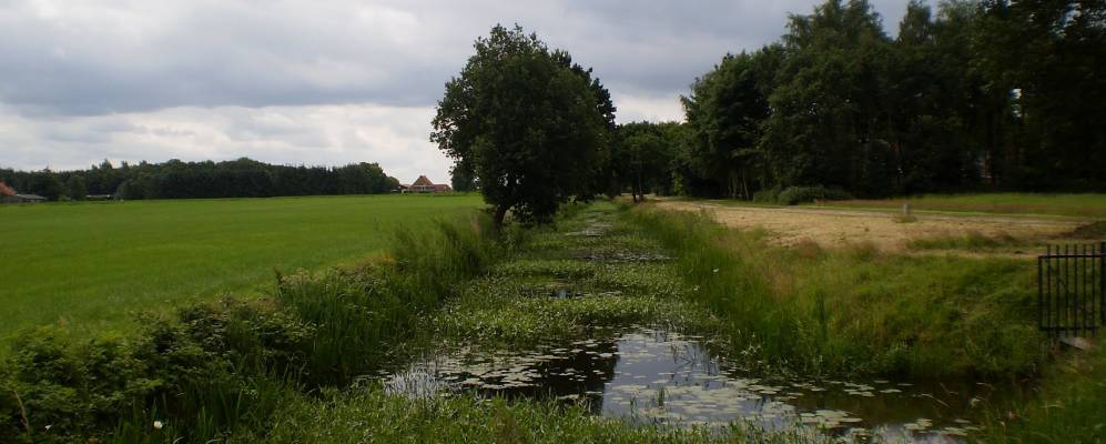 
            Фотография Hornsterzwaag