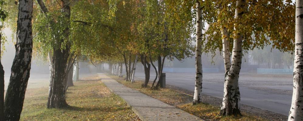 Луговой кондинский район фото