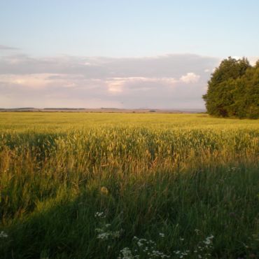 Степановка Первая