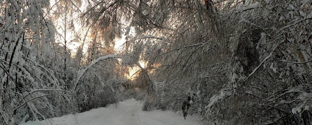 
            Фотография Дальнепесочной