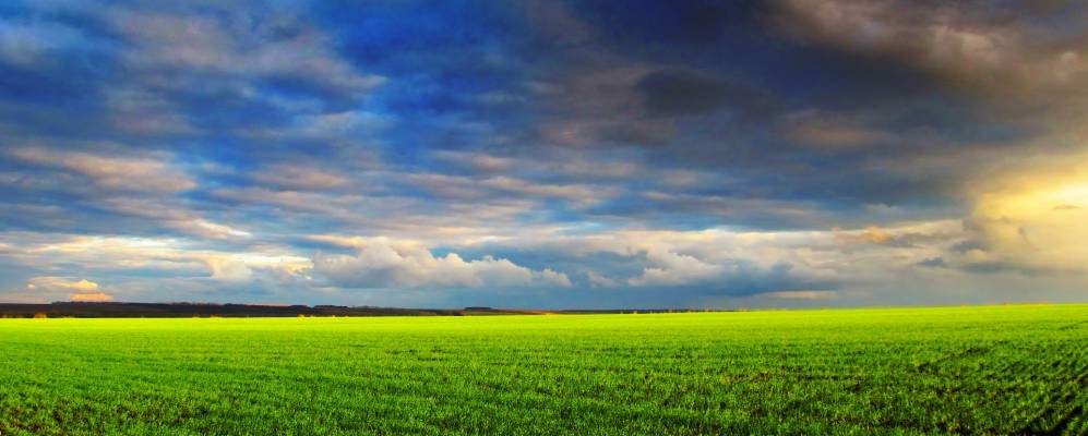 
            Фотография Северного Двоелучного