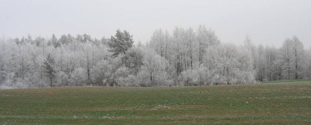 
            Фотография деревни Минчаки