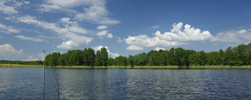 
            Фотография Пантелейки