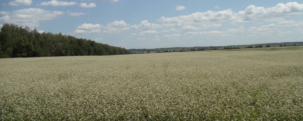 
            Фотография Красной Зари