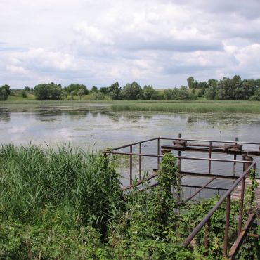 Однольков