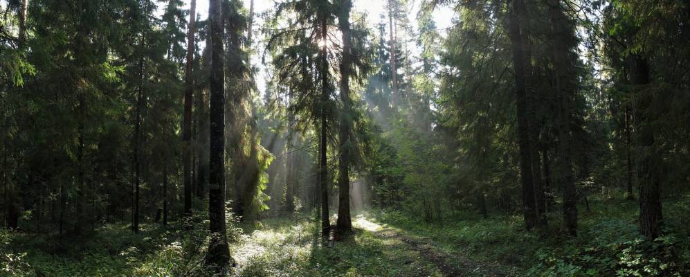 
            Фотография деревни Пречистино