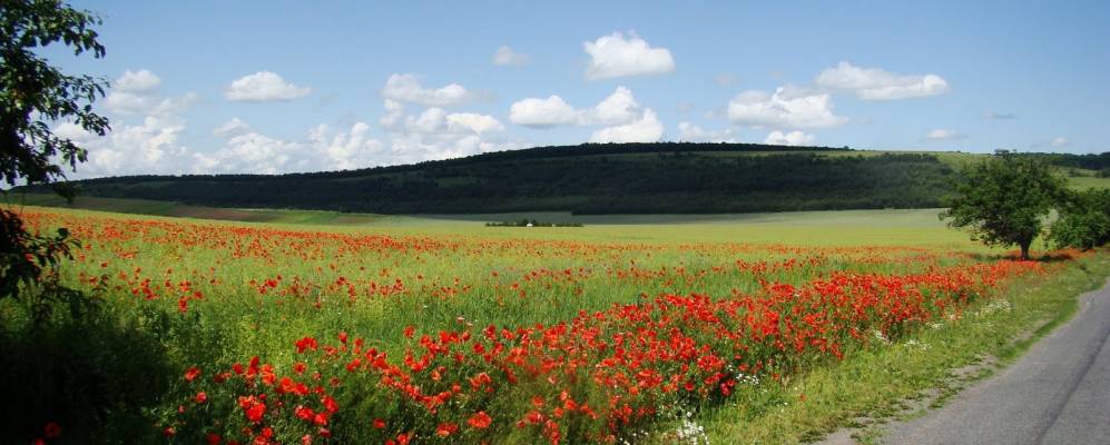 
            Фотография Яргорова