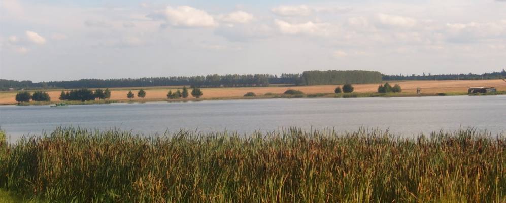 
            Фотография Пукелевщины