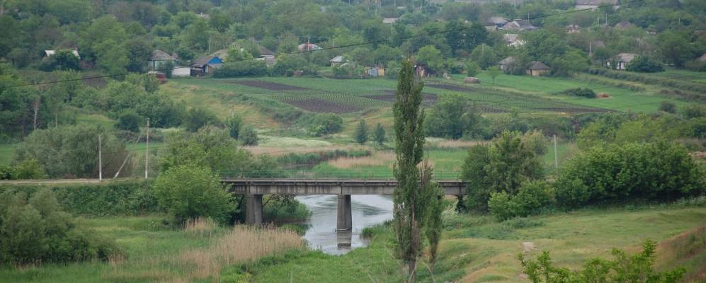 
            Фотография Липняжки