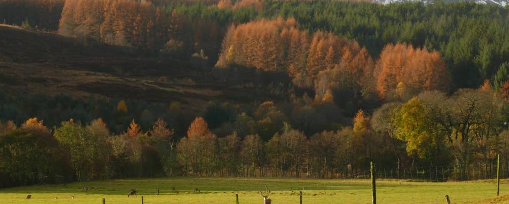 
            Фотография Glenmoriston