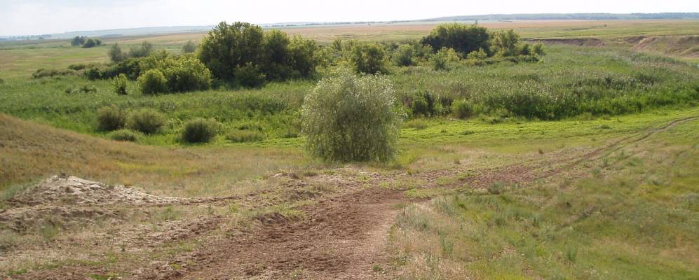 
            Фотография Лунякинского