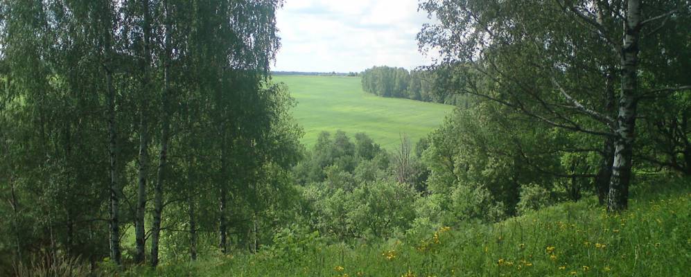 
            Фотография Балакирево