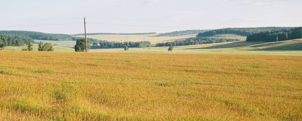 
            Фотография Заморской