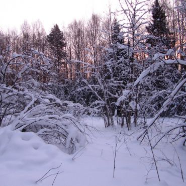 Кордон Сверчихинский