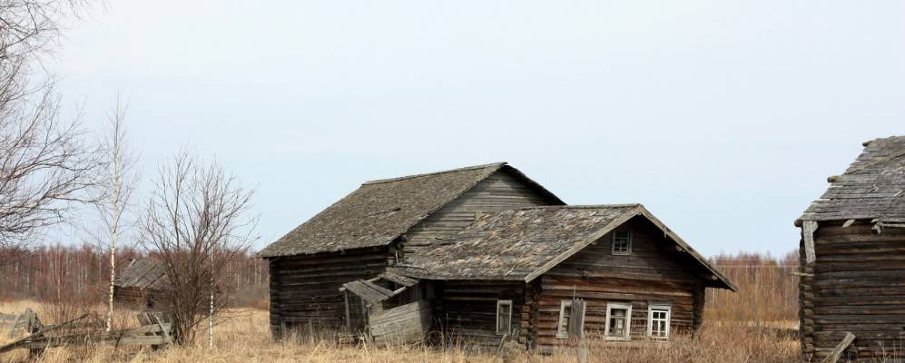 
            Фотография Баркановской