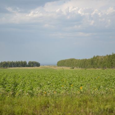 Красная Поляна