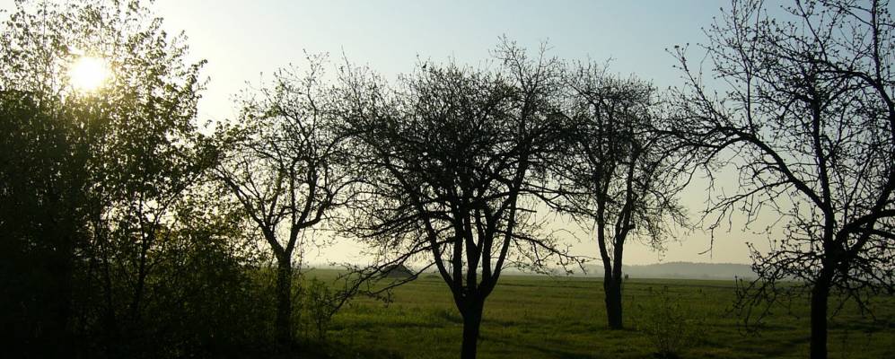 
            Фотография Старые Новаки