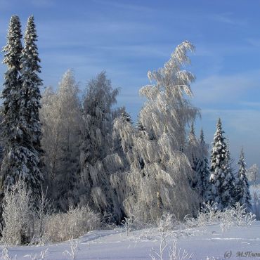 Затон