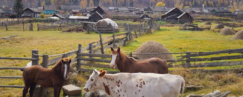 
            Фотография Малого Голоустного