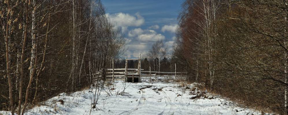 
            Фотография Лугового