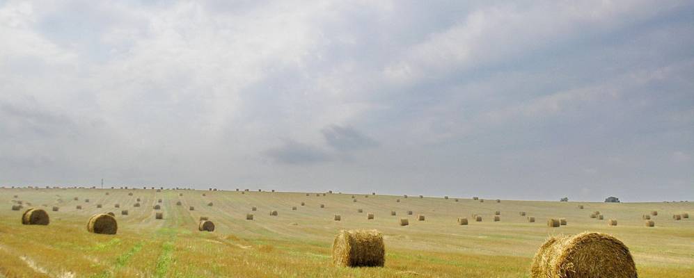 
            Фотография Токаревки Второй