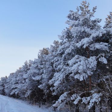 Николо-Александровка