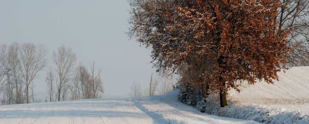 
            Фотография Occimiano