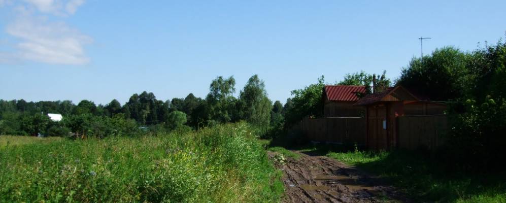 
            Фотография деревни Домнинские Дворы