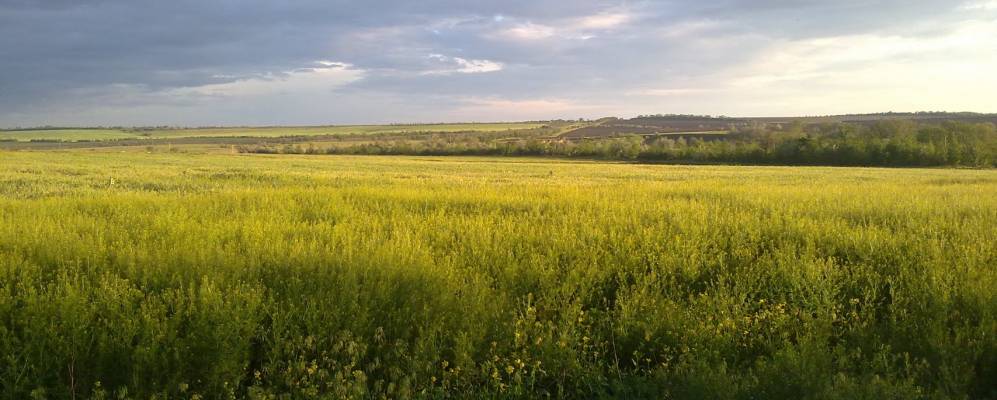 
            Фотография Новоселовки