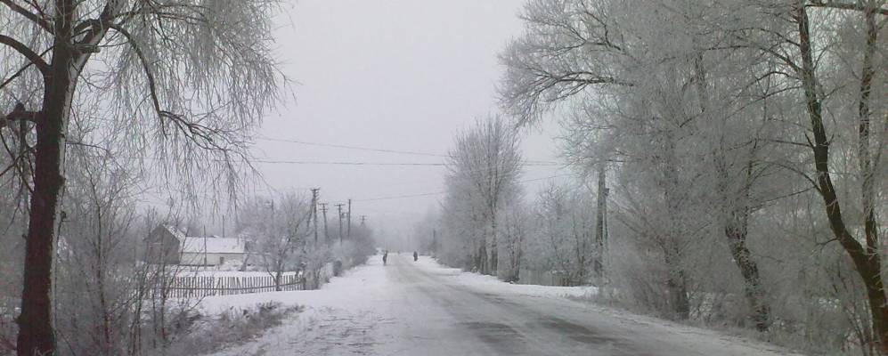 
            Фотография Новой Романовки