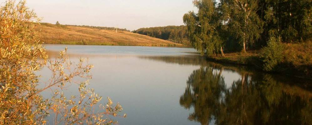 Погода в белобородово