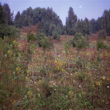 Воскресенское