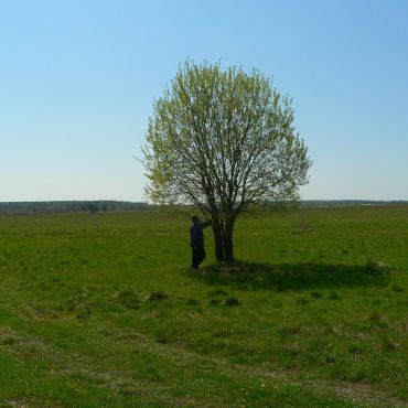 Тулага