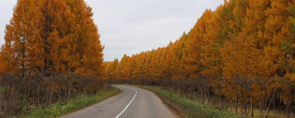 
            Фотография Бутковичей