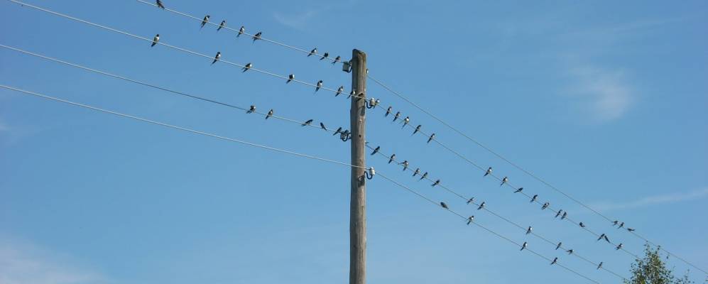 
            Фотография Бородино