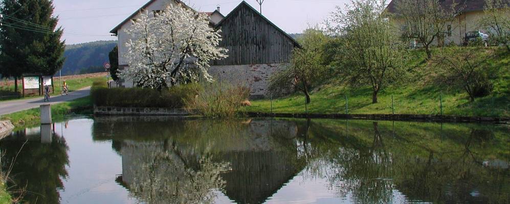 
            Фотография Olešnice