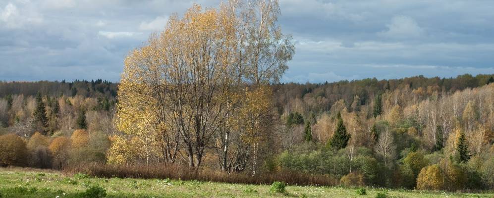 Деревни кривцово никулинского сельского поселения