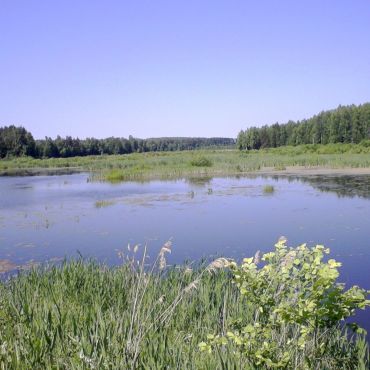 Копкинский