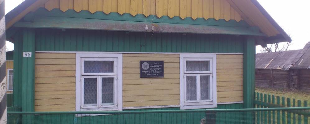 Фотография деревни Немони