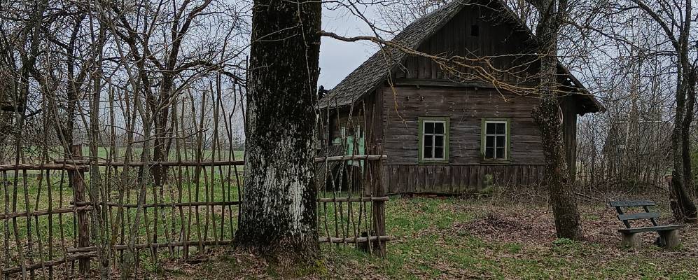 
            Фотография Саськовки