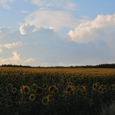 Землянки