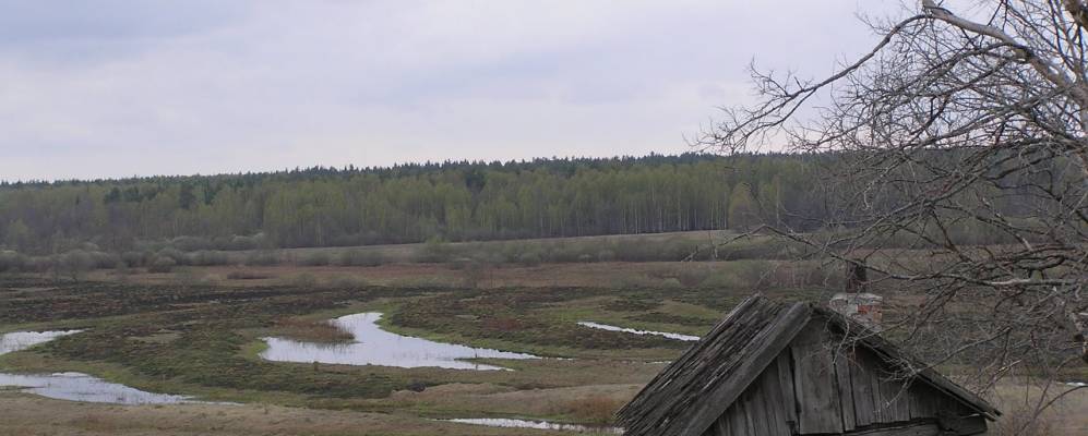 
            Фотография Кисельницы