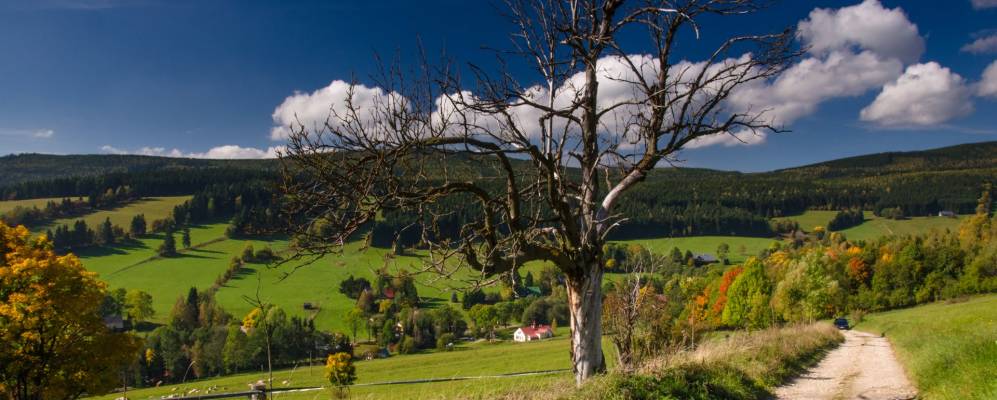 
            Фотография Horní Albeřice