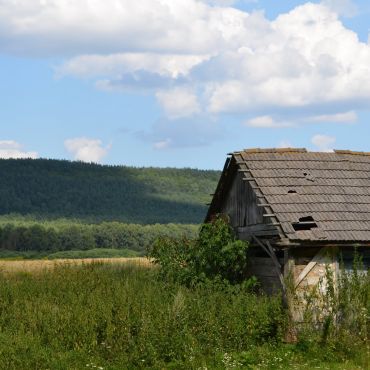 Антоновцы