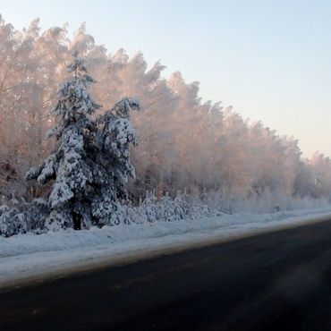 Волчихинский Майдан