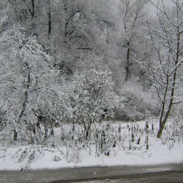 Вольное