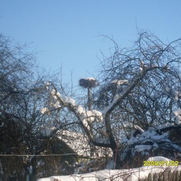 Костеничи