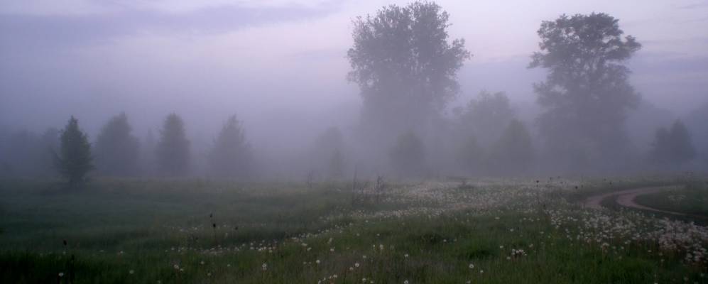 
            Фотография Кунцево