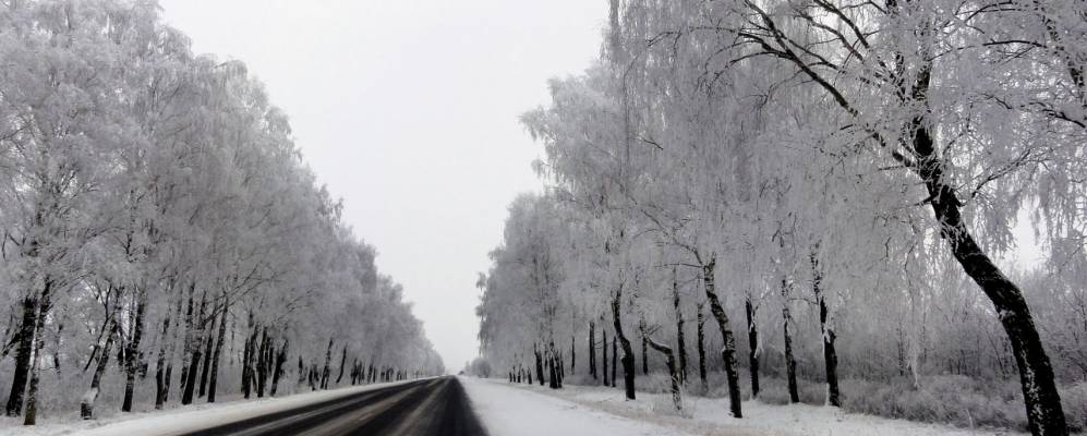 
            Фотография деревни Мацкевичи